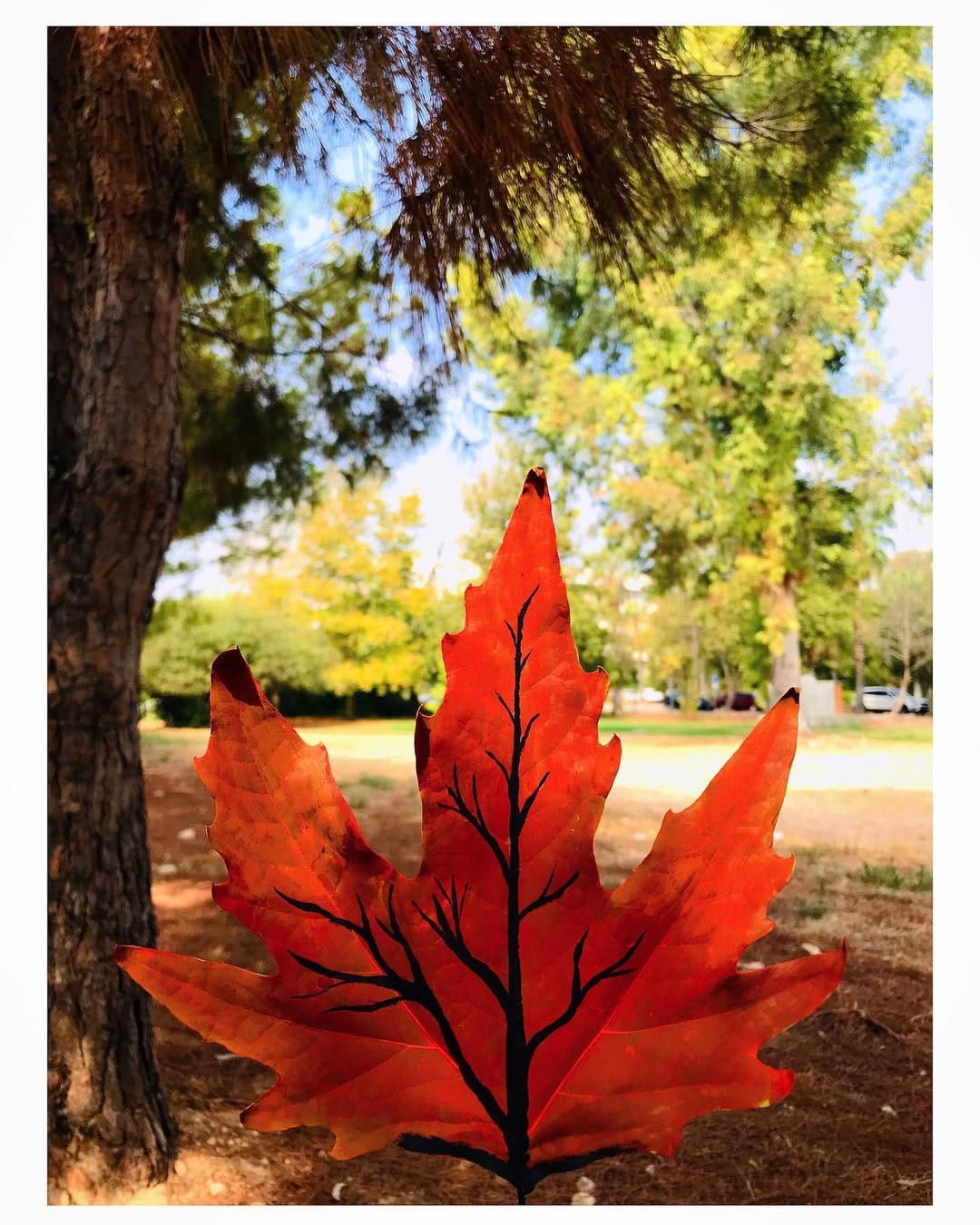Post 7 by Ercan ERDEN on Instagram (image)