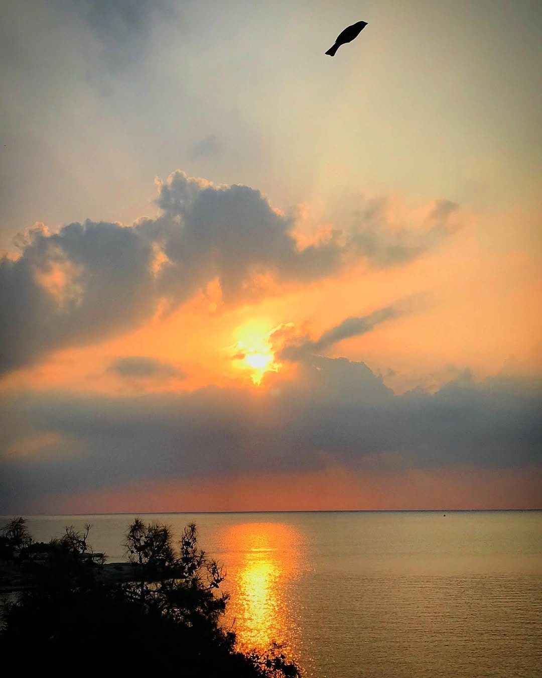 Post 6 by Ercan ERDEN on Instagram (image)