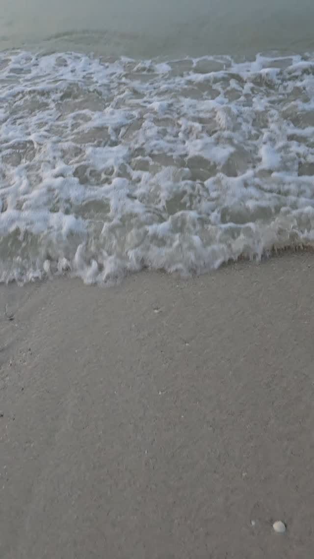 Post 8 by purrpleflower on Instagram (video)
