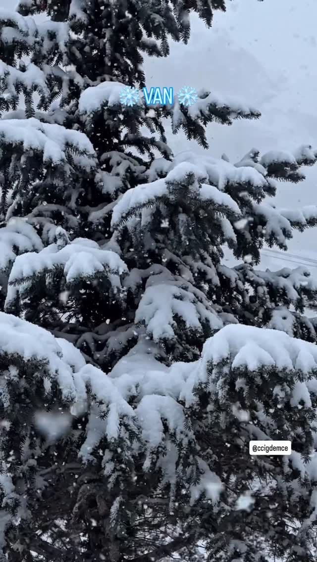 Post 4 by 🌸Ç İ Ğ D E M🌸 on Instagram (video)