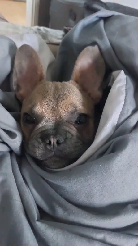 Post 10 by Severine Baux on Instagram (video)
