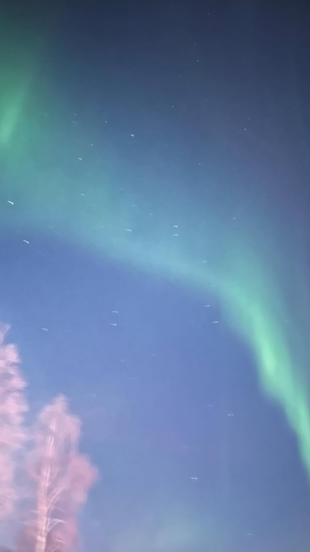 Post 7 by Student & Expat Trips Germany on Instagram (video)