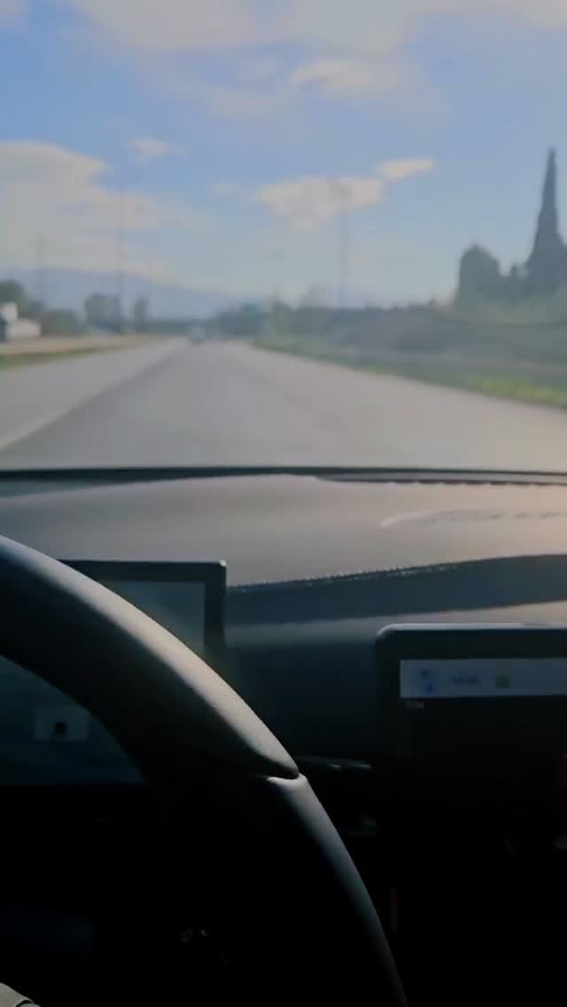 Post 7 by 🐱🐩Kedi & Köpek Kuaförü Sakarya on Instagram (video)