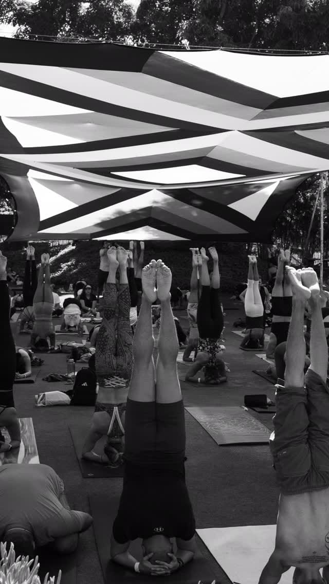 Post 7 by Angie Flores Saiffe on Instagram (video)
