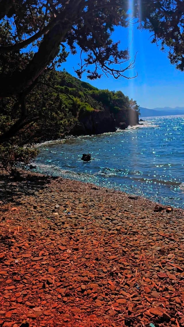 Post 4 by Meral Mengüş Keklik on Instagram (video)