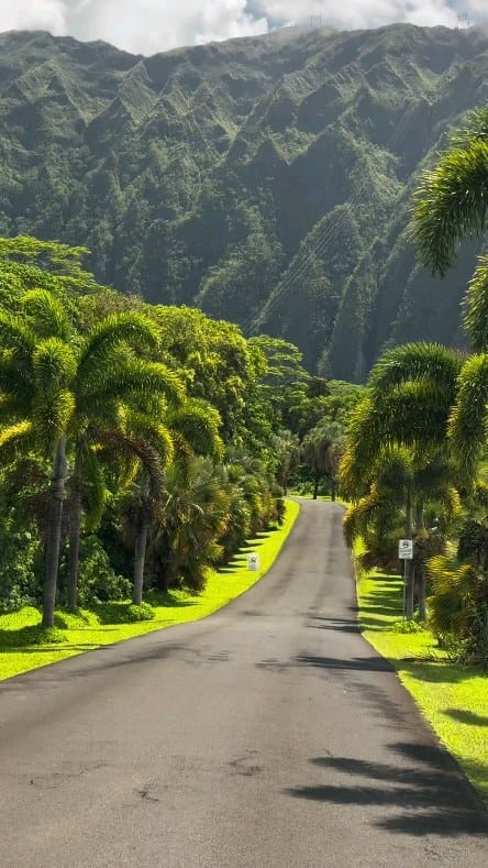 Post 1 by Travel >>>❤️ on Instagram (video)