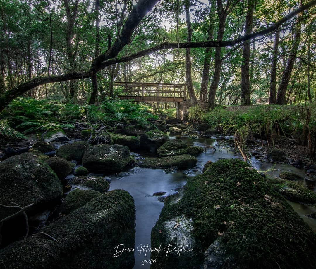 Post 8 by Darío Miranda | Photographer on Instagram (image)