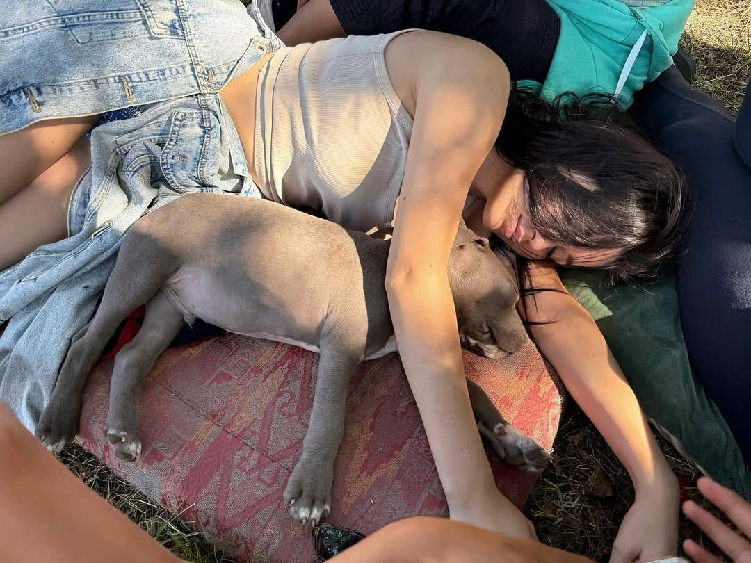 Post 9 by Luiza Hasani on Instagram (image)