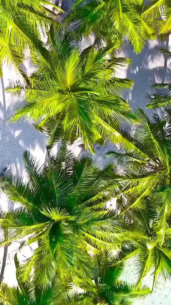 Post 9 by Destiny México on Instagram (video)