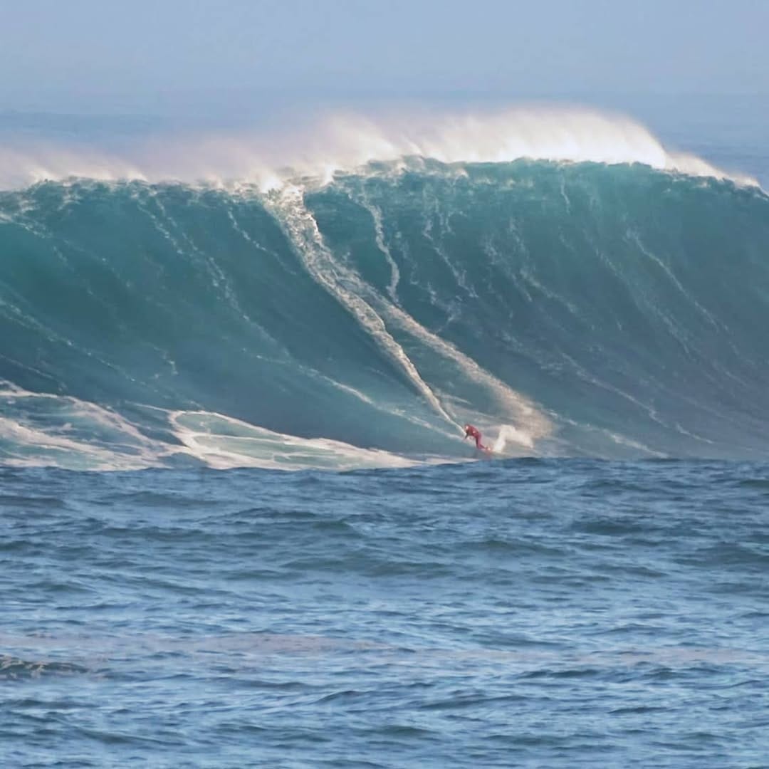 Post 10 by Frères Mangiarotti Hossegor on Instagram (image)