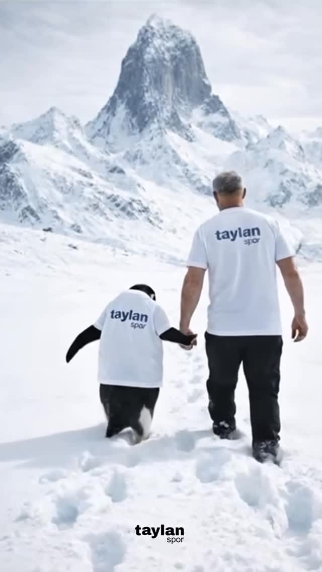 Post 5 by Taylan Spor on Instagram (video)