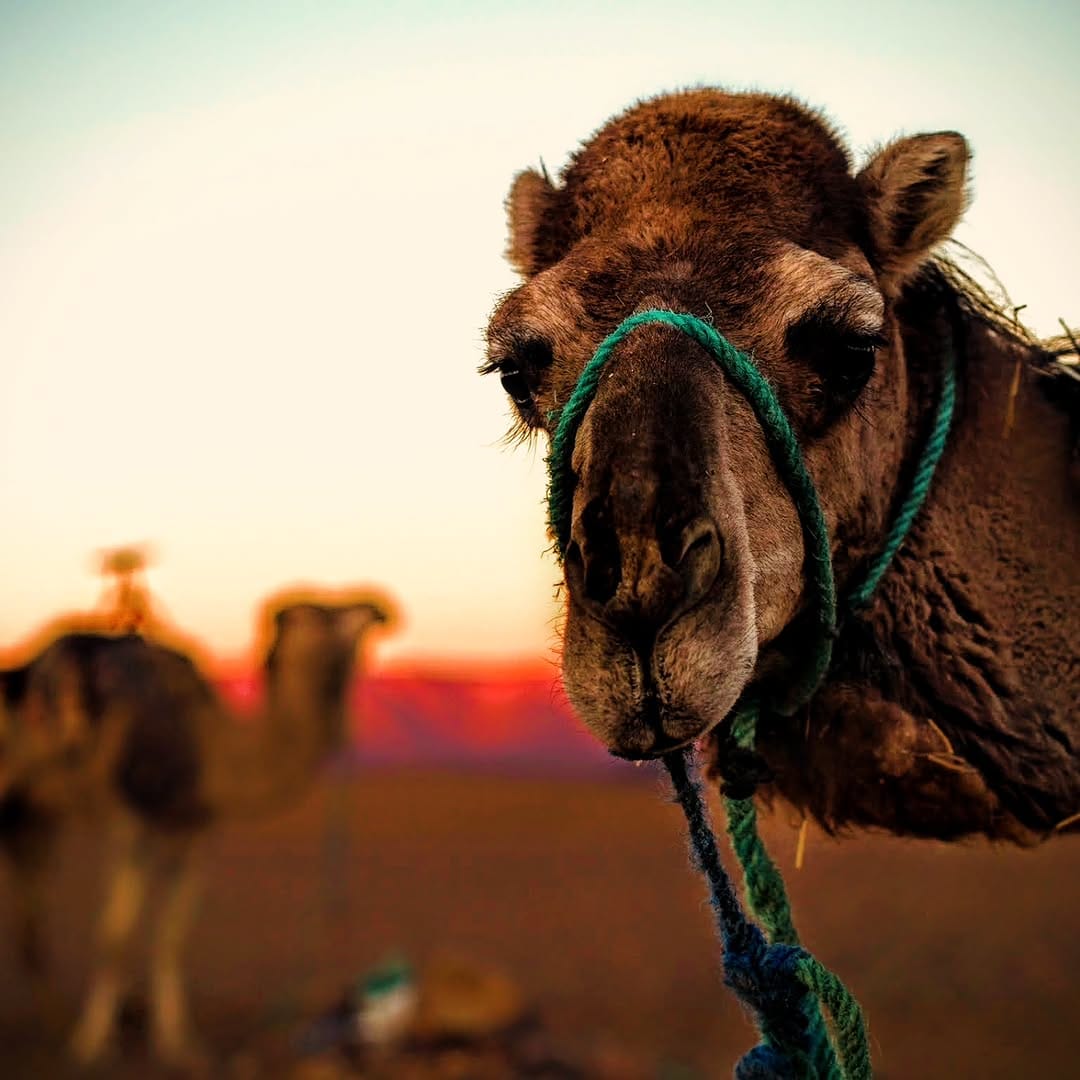 Post 2 by Micha J.  is goin' wild. on Instagram (image)
