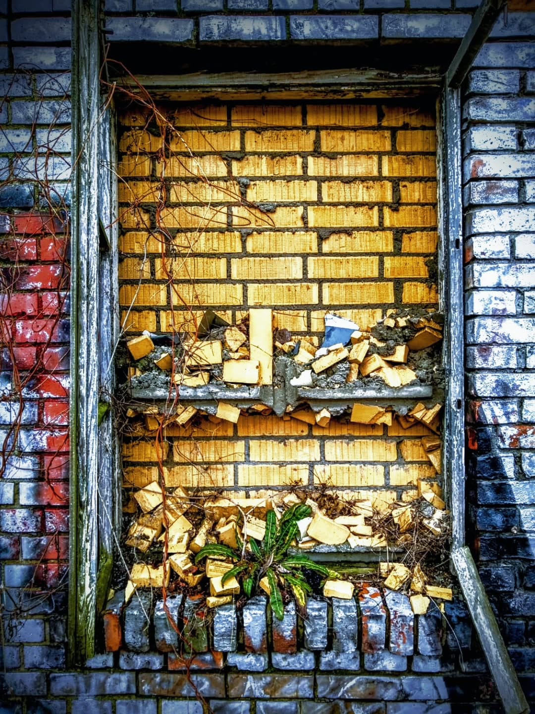 Post 1 by Micha J.  is goin' wild. on Instagram (image)