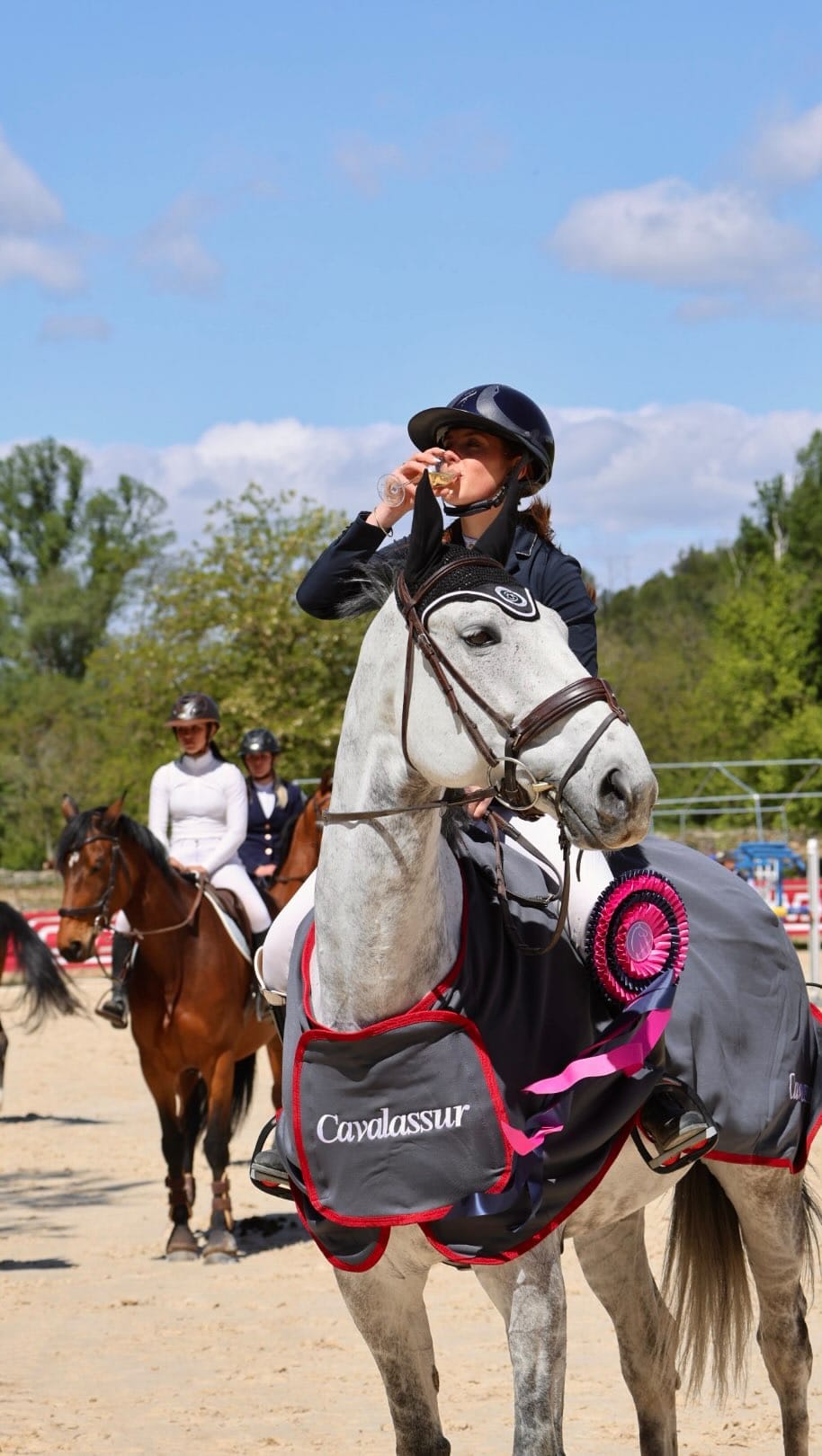 Post 10 by Corenthine Boucher on Instagram (video)