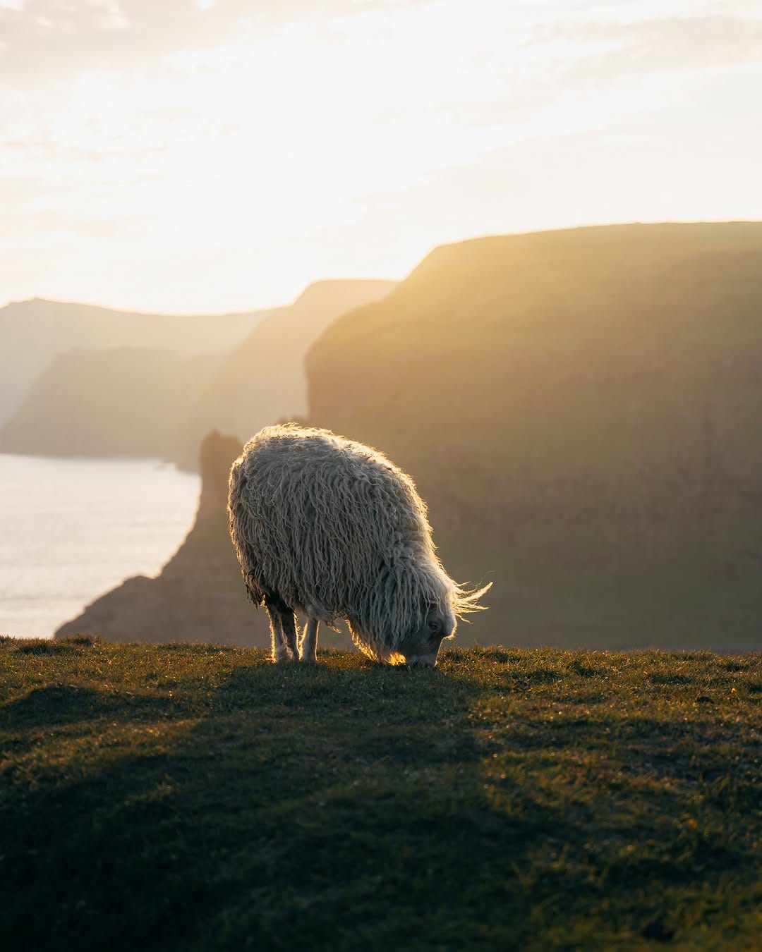 Post 1 by Jonas | Photographer and Videographer on Instagram (image)