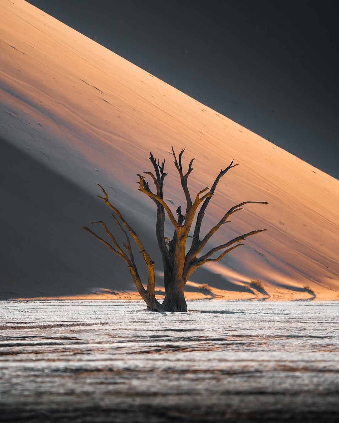 Post 4 by Jonas | Photographer and Videographer on Instagram (image)