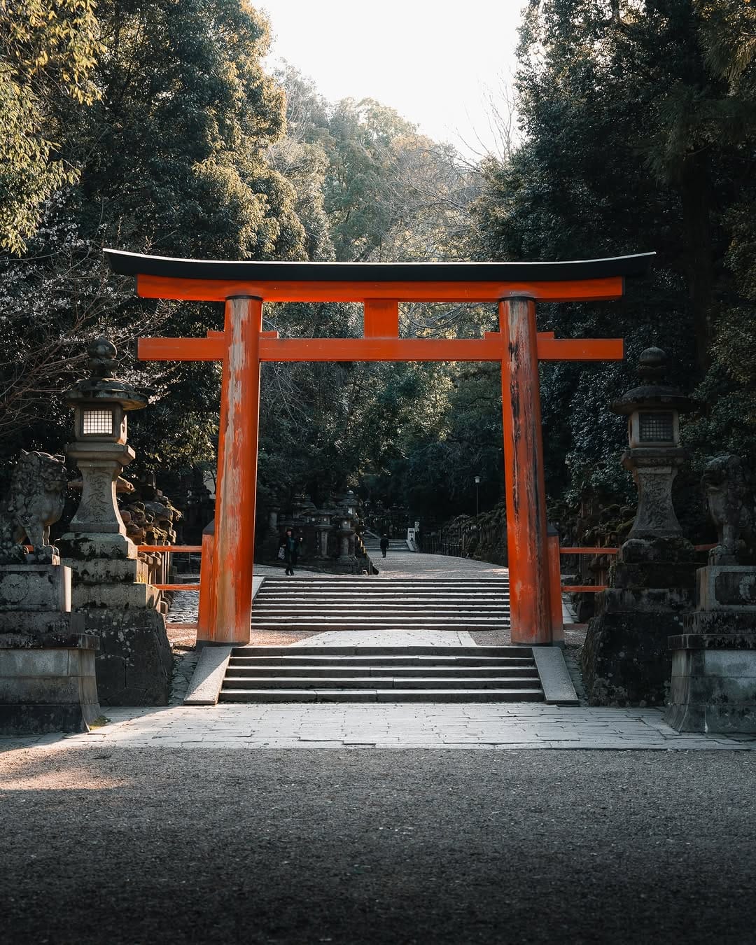 Post 8 by Jonas | Photographer and Videographer on Instagram (image)
