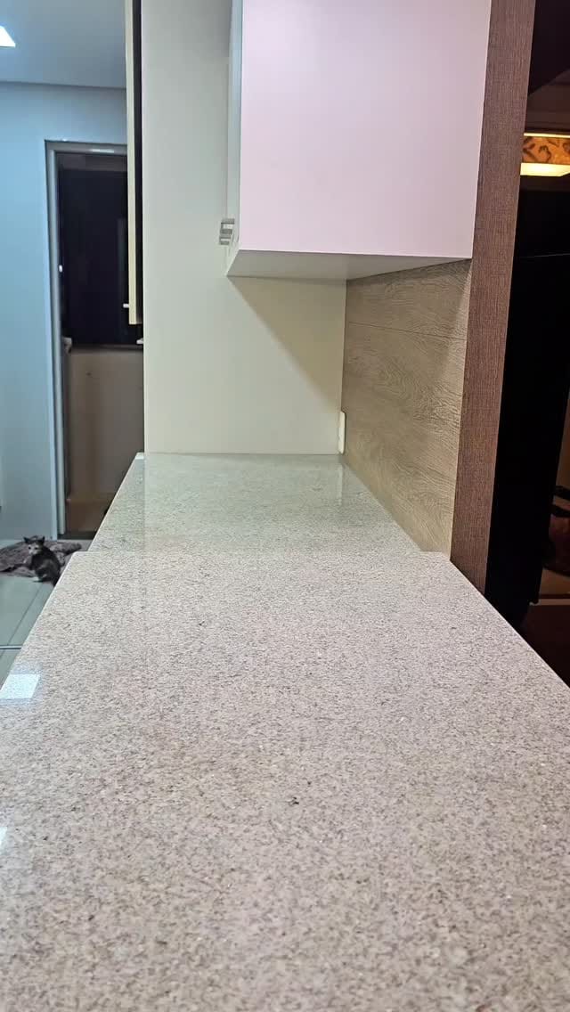 Post 8 by Leonardo Scotti on Instagram (video)