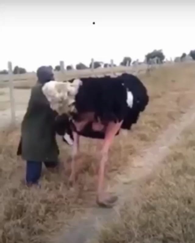 Post 10 by Monique Monita on Instagram (video)