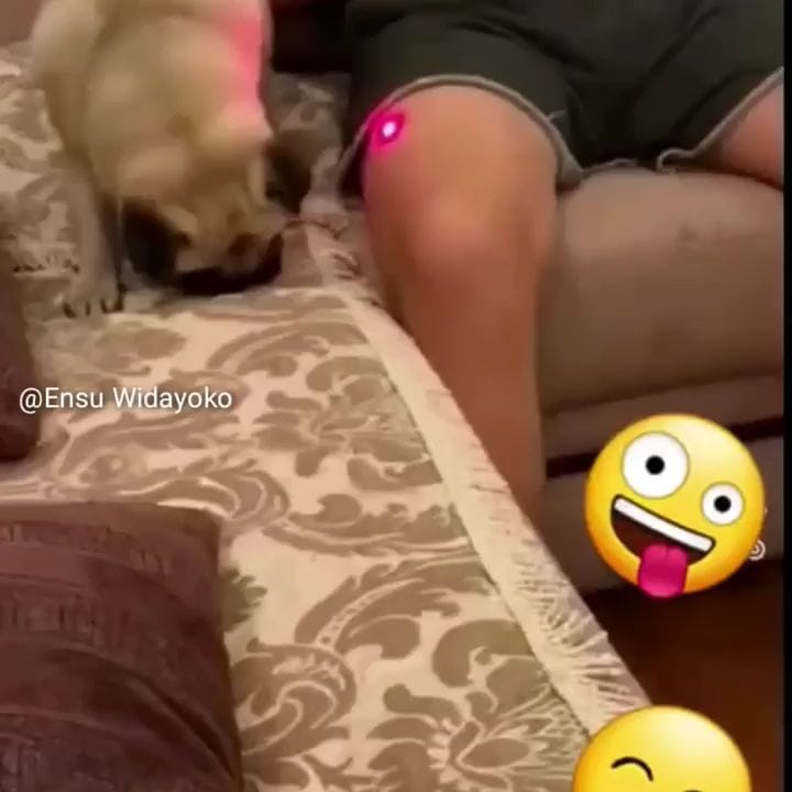 Post 7 by Monique Monita on Instagram (video)