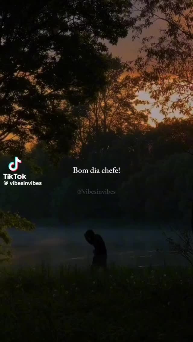 Post 5 by Fabiano Tenedini on Instagram (video)
