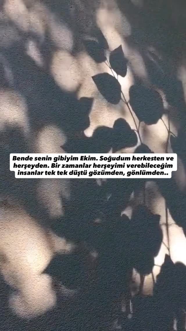 Post 4 by elonunblogu on Instagram (video)