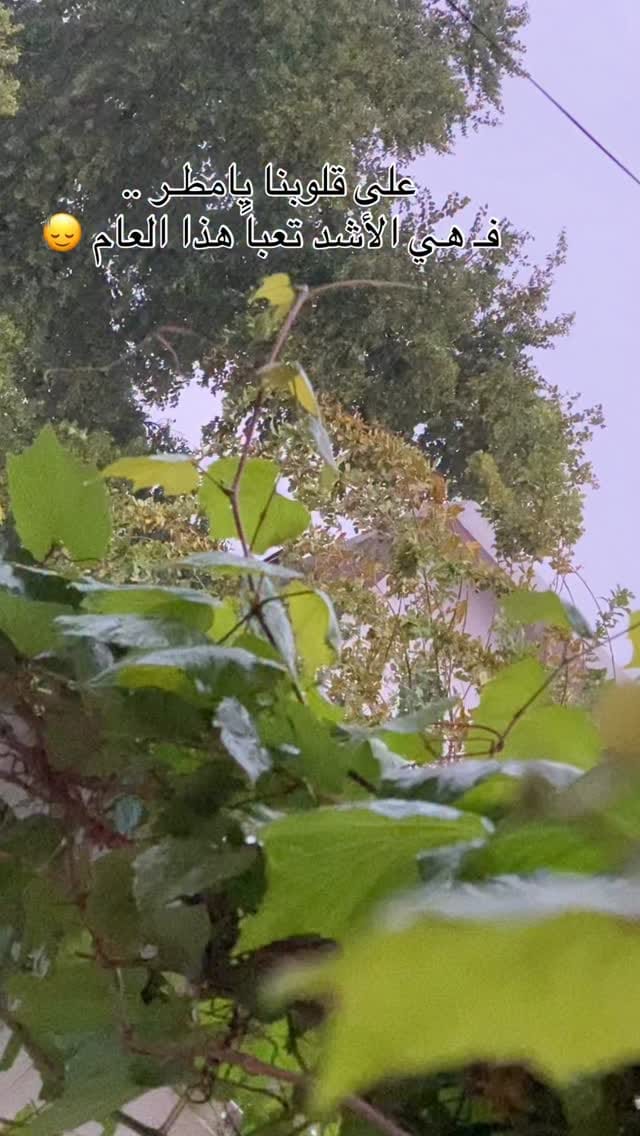 Post 6 by Malak Yawoz Bakkaloğlu on Instagram (video)