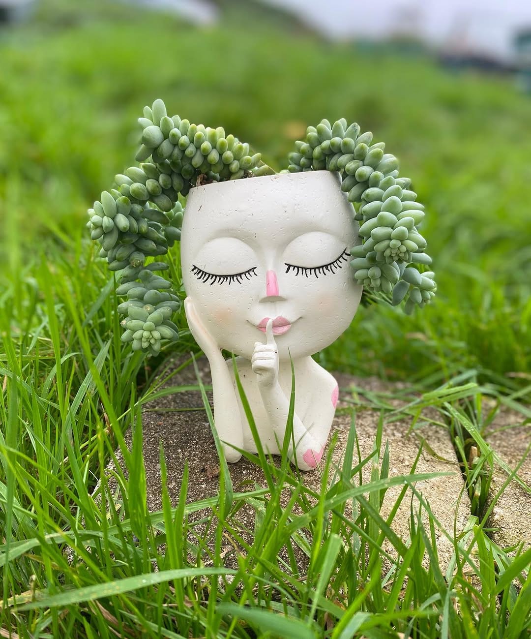Post 8 by Peng Succulents on Instagram (image)