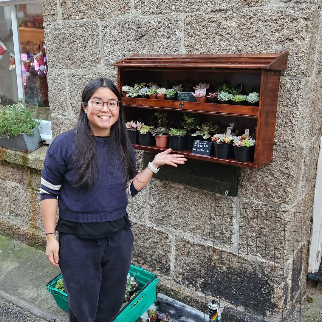 Post 2 by Peng Succulents on Instagram (carousel)