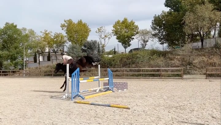 Post 4 by Luis Jaume on Instagram (video)