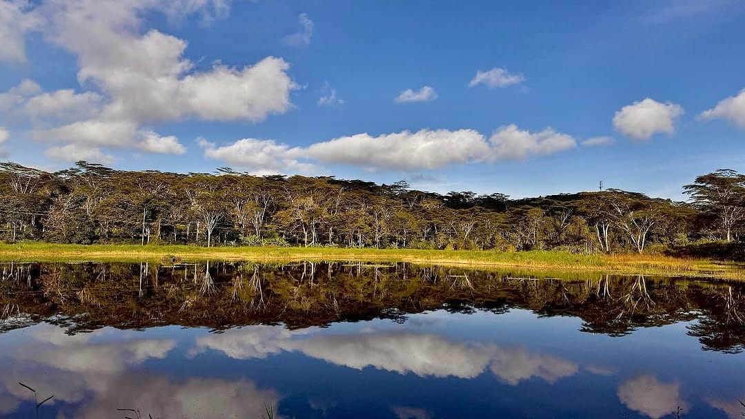 Post 2 by Hacienda El Roble.Colombia on Instagram (image)