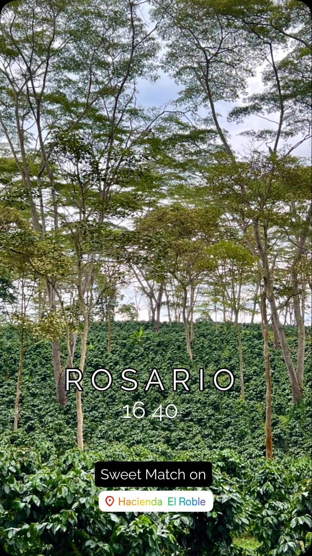 Post 3 by Hacienda El Roble.Colombia on Instagram (video)