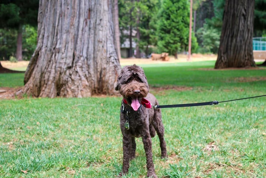 Post 1 by Hank on Instagram (carousel)