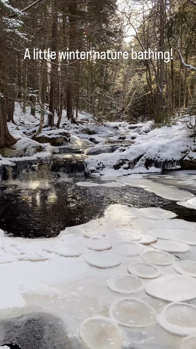 Post 1 by Wild Metropolis on Instagram (video)
