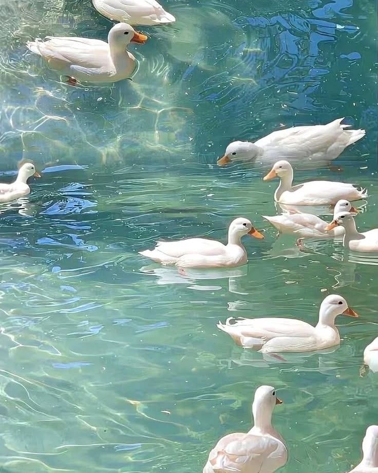 Post 8 by 𝖬𝖨𝖲𝖲𝖸𝖡𝖠𝖡𝖤𝖹 𝖩𝖤𝖶𝖤𝖫𝖱𝖸 on Instagram (image)