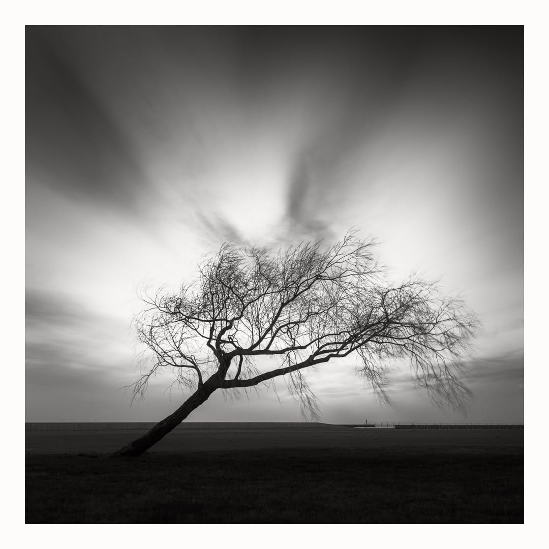 Post 9 by Ricardo Cuartero on Instagram (image)