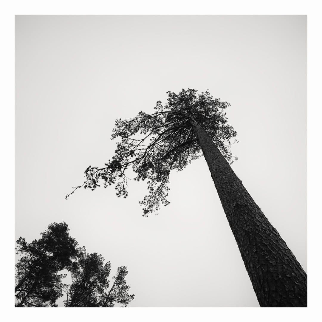 Post 4 by Ricardo Cuartero on Instagram (image)