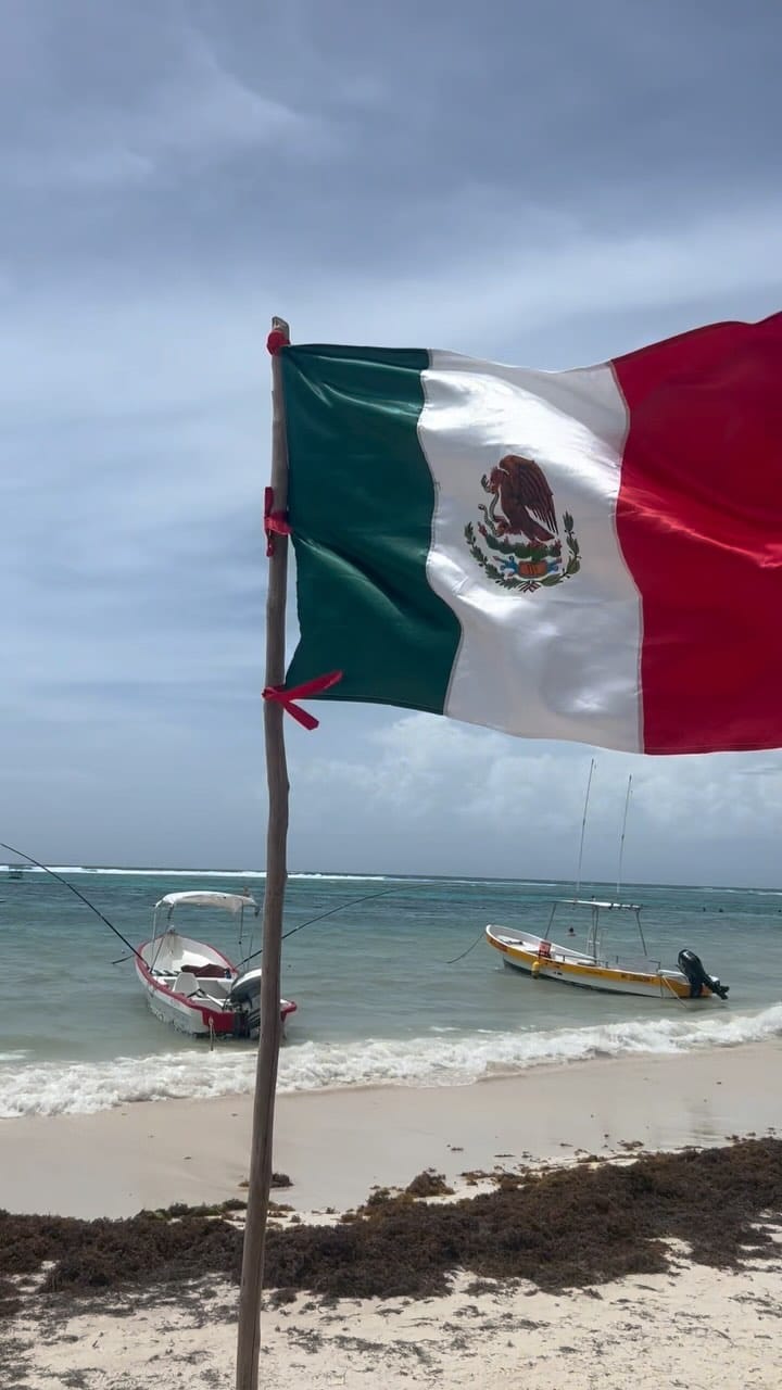 Post 4 by Asem Marc Bacha on Instagram (video)