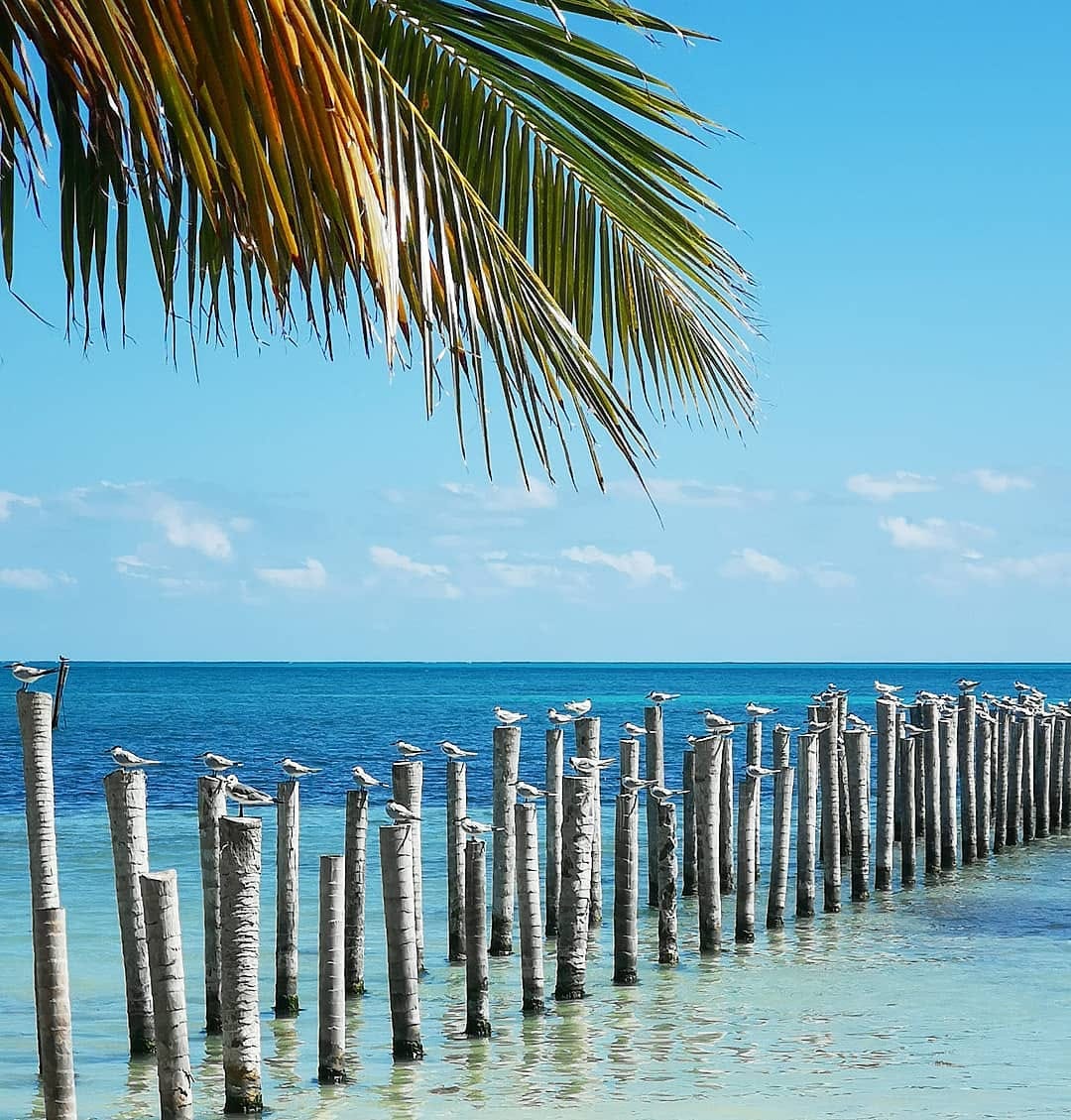 Post 5 by Travel Rinse Repeat on Instagram (image)