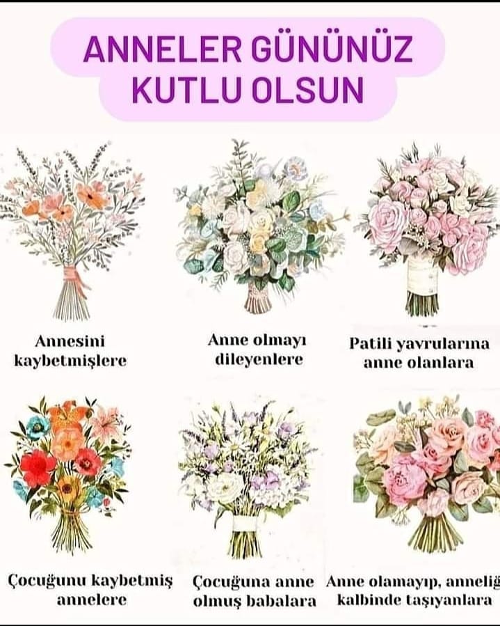 Post 4 by AHŞAPS on Instagram (image)