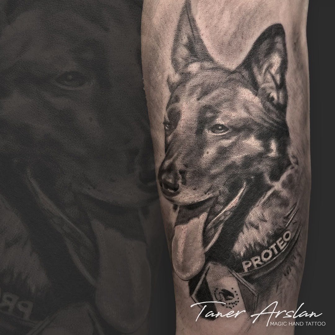 Post 5 by Taner Arslan on Instagram (image)