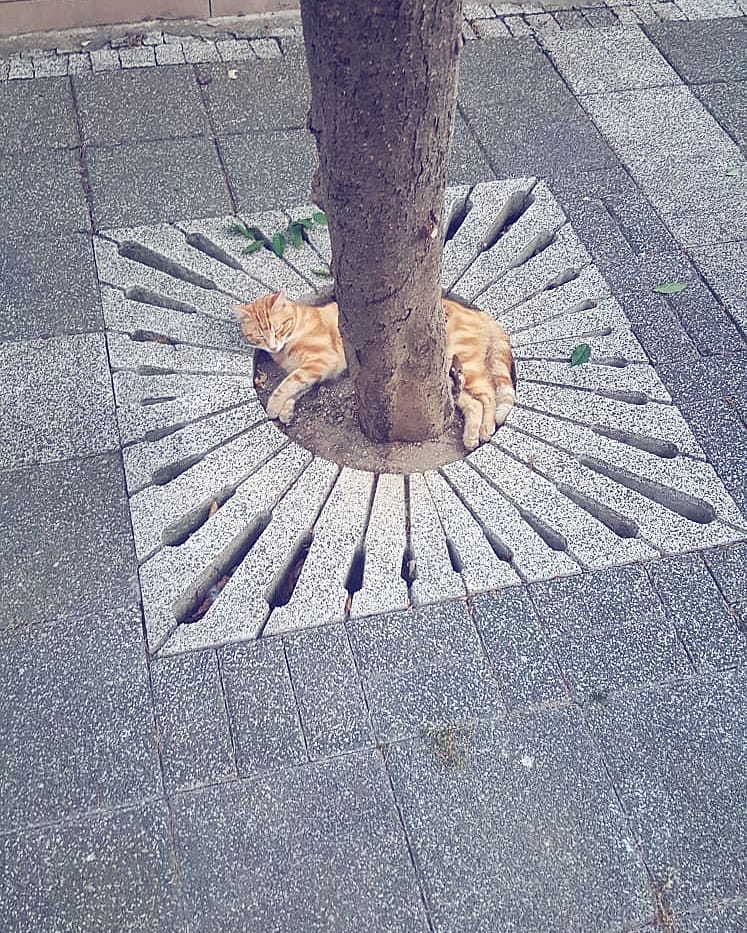 Post 2 by Şenol Çuhadar on Instagram (image)