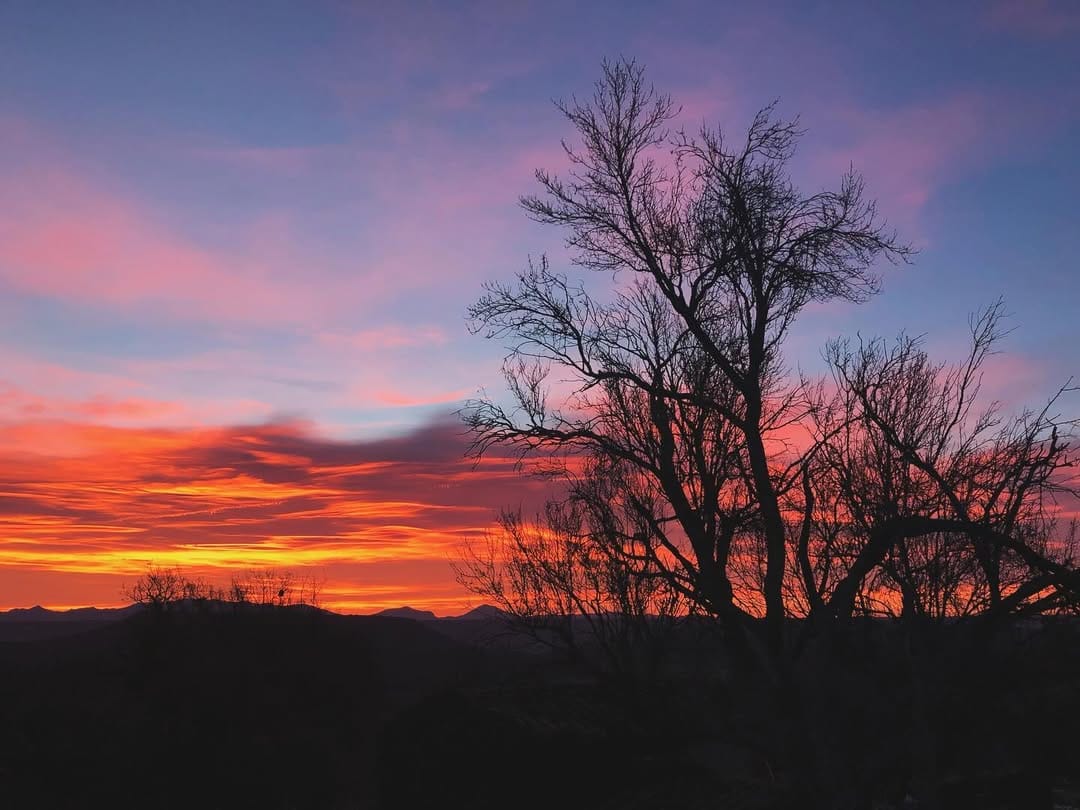 Post 6 by Rod Cook on Instagram (image)