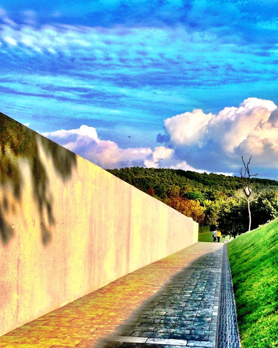 Post 1 by Rod Cook on Instagram (image)