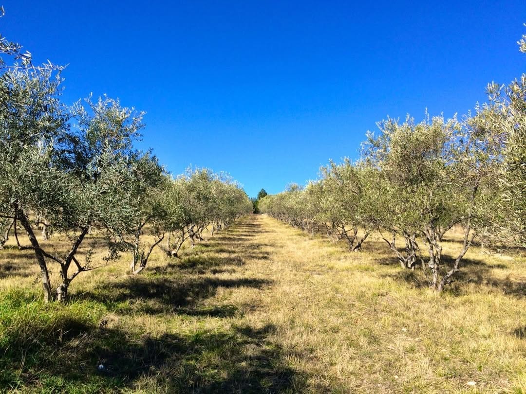 Post 4 by Rod Cook on Instagram (image)