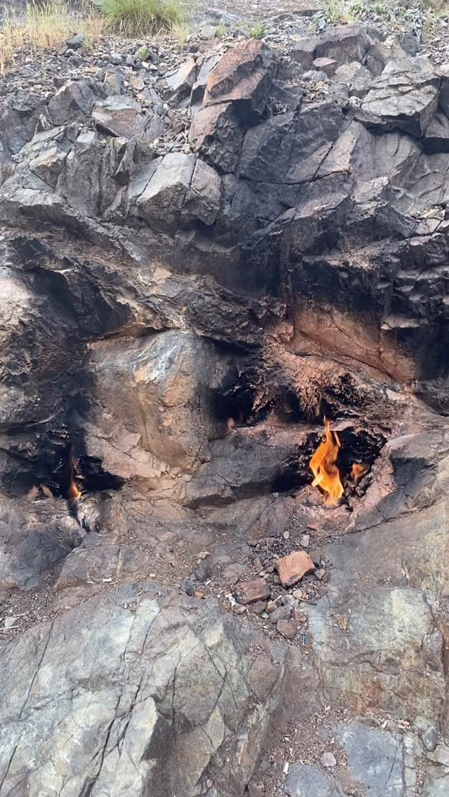 Post 2 by • Hatay Yöresel Lezzetler • Sağlıklı, Doğal, Güvenilir • on Instagram (video)