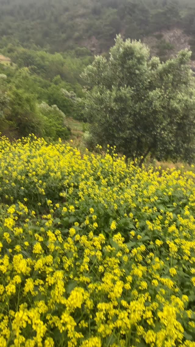 Post 4 by • Hatay Yöresel Lezzetler • Sağlıklı, Doğal, Güvenilir • on Instagram (video)