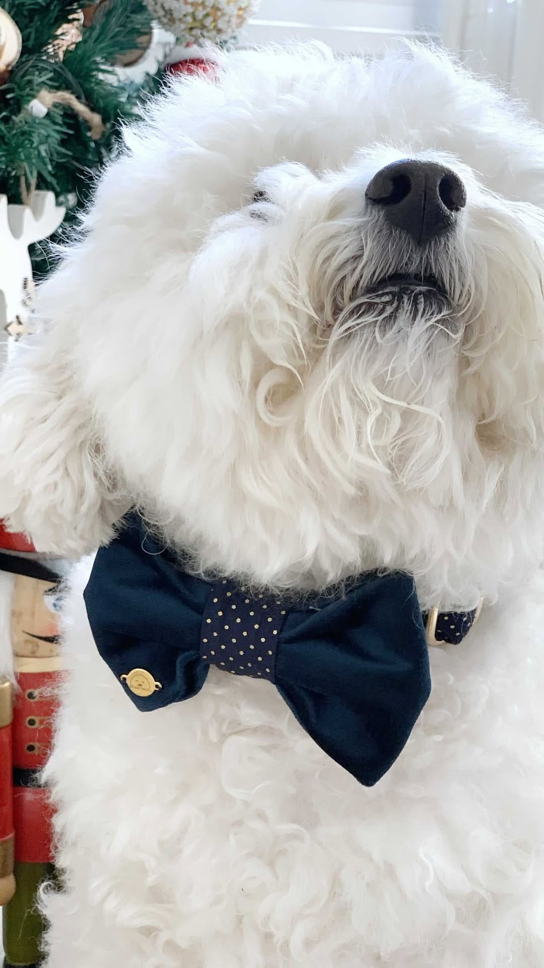 Post 5 by LUNA 🌙 on Instagram (video)