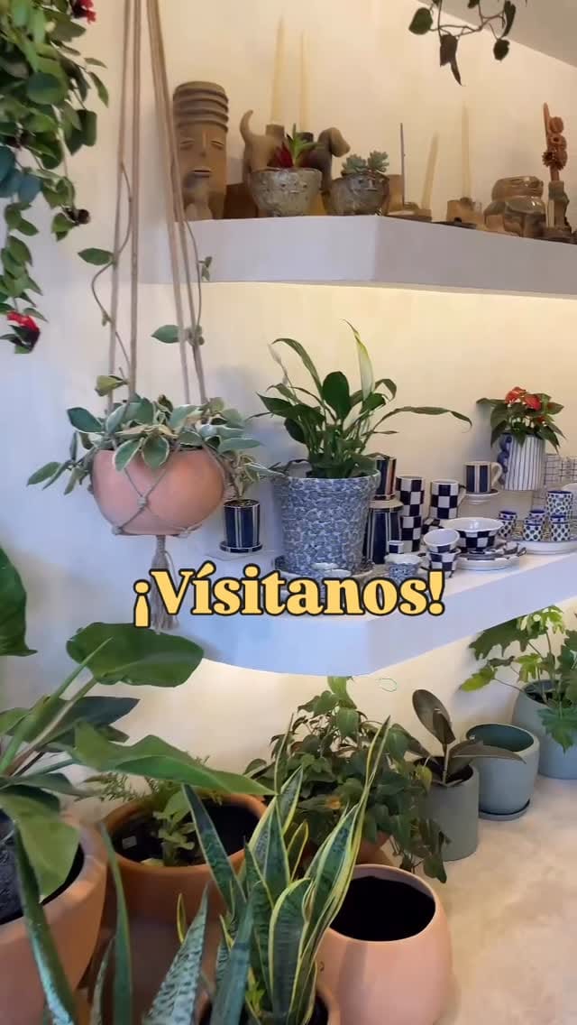 Post 4 by Querencia®️ on Instagram (video)