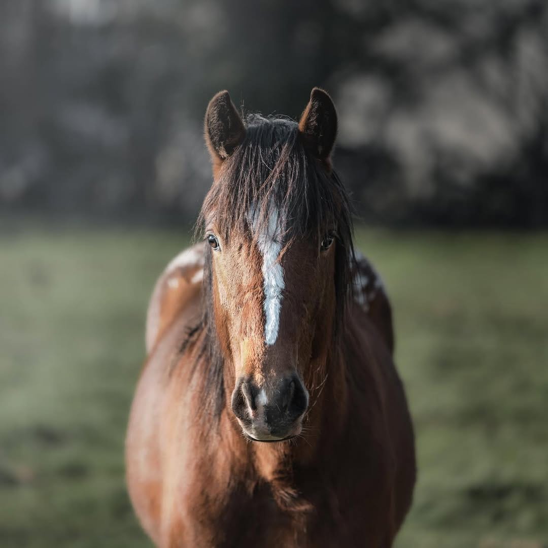 Post 2 by Charles Groc de Salmiech on Instagram (image)